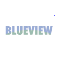 Blueview Footwear