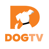 DOGTV