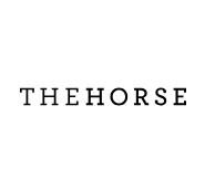 The Horse