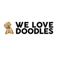 We Love Doodles
